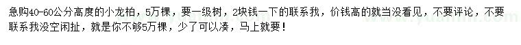 求購(gòu)高度40-60公分小龍柏