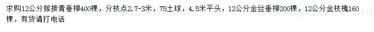 求購嫁接青垂柳、金絲垂柳、金枝槐