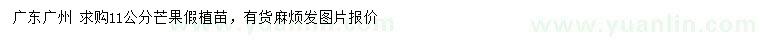 求購(gòu)11公分芒果假植苗