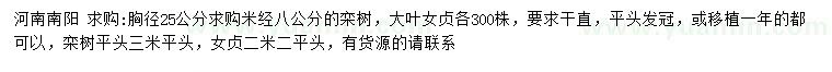 求購胸徑25公分欒樹、大葉女貞