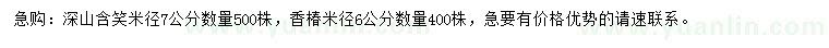 求購米徑7公分深山含笑、6公分香椿