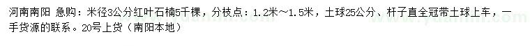 求購(gòu)米徑3公分紅葉石楠