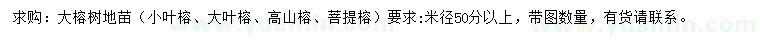 求購(gòu)小葉榕、大葉榕、高山榕等