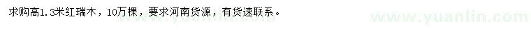 求購高1.3米紅瑞木