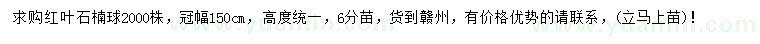 求購冠幅150公分紅葉石楠球