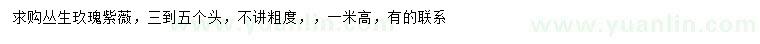 求購高1米叢生玖瑰紫薇