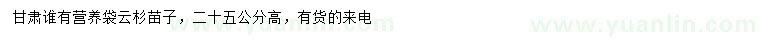 求購高25公分云杉