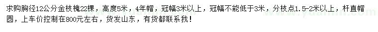 求購胸徑12公分金枝槐