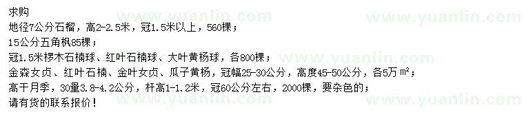求購(gòu)石榴、五角楓、欏木石楠球等