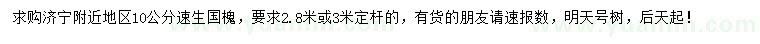 求購10公分速生國槐