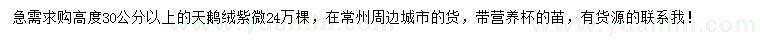 求購高度30公分以上天鵝絨紫薇