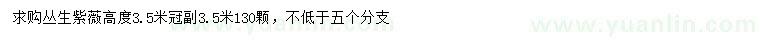 求購高度3.5米叢生紫薇