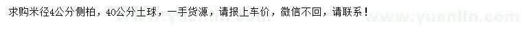 求購米徑4公分側(cè)柏