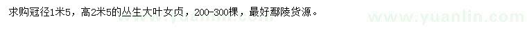 求購(gòu)高度2.5米叢生大葉女貞