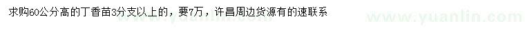 求購高60公分丁香