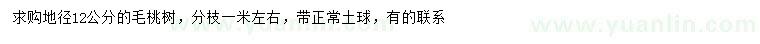 求購地徑12公分毛桃樹