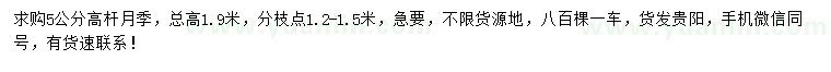 求購5公分高桿月季