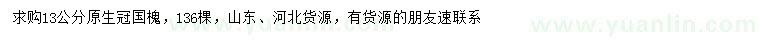 求購13公分國槐