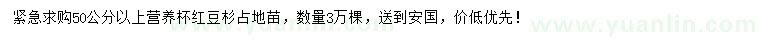 求購50公分以上紅豆杉