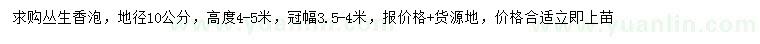 求購地徑10公分叢生香泡