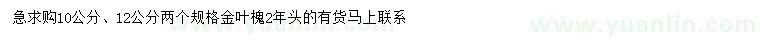 求購(gòu)10、12公分金葉槐