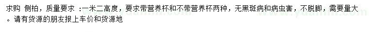 求購高1.2米側(cè)柏