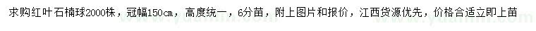求購冠幅150公分紅葉石楠球