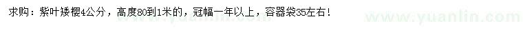 求購4公分紫葉矮櫻