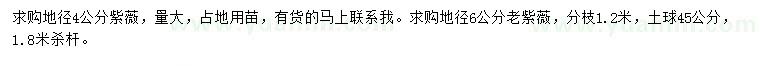 求購(gòu)地徑4公分紫薇、6公分老紫薇