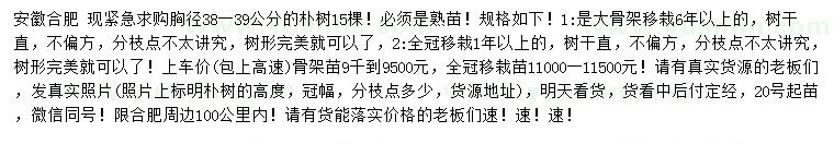 求購胸徑38-39公分樸樹