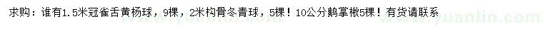 求購雀舌黃楊球、構(gòu)骨冬青球、鵝掌楸