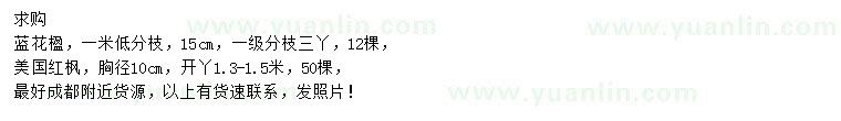求購(gòu)15公分藍(lán)花楹、胸徑10公分美國(guó)紅楓