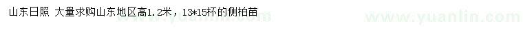 求購(gòu)高1.2米側(cè)柏