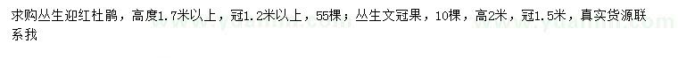 求購(gòu)高1.7米以上迎紅杜鵑、高2米叢生文冠果