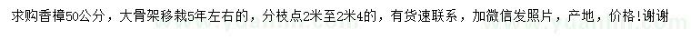 求購50公分香樟