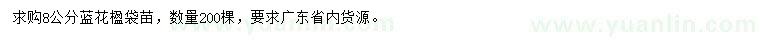 求購8公分藍(lán)花楹