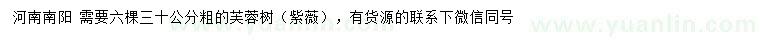 求購30公分芙蓉樹（紫薇）
