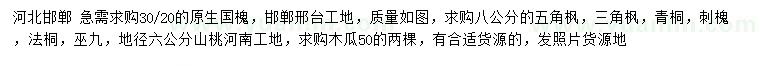 求購國槐、五角楓、三角楓等