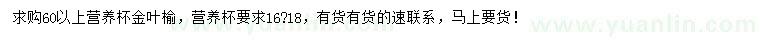 求購60公分以上金葉榆