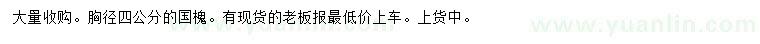 求購胸徑4公分國槐