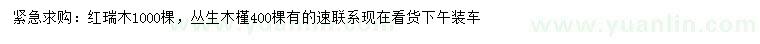 求購紅瑞木、叢生木槿