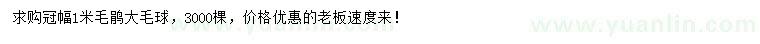 求購冠幅1米毛鵑大毛球