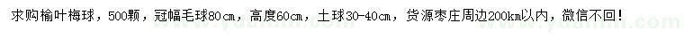 求購(gòu)冠幅80公分榆葉梅球