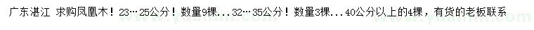求購23-25、32-35、40公分以上鳳凰木