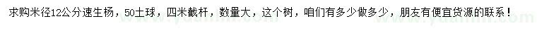 求購米徑12公分速生楊