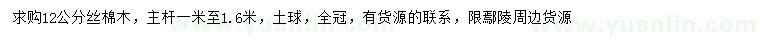 求購12公分絲棉木