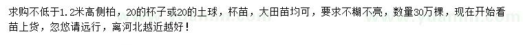 求購(gòu)高1.2米以上側(cè)柏