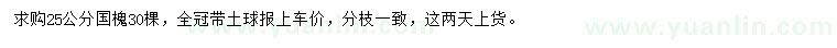 求購25公分國槐