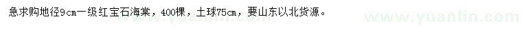 求購地徑9公分紅寶石海棠