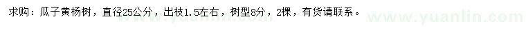 求購直徑25公分瓜子黃楊樹